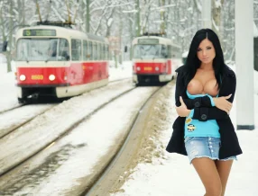 Snow brake disaster